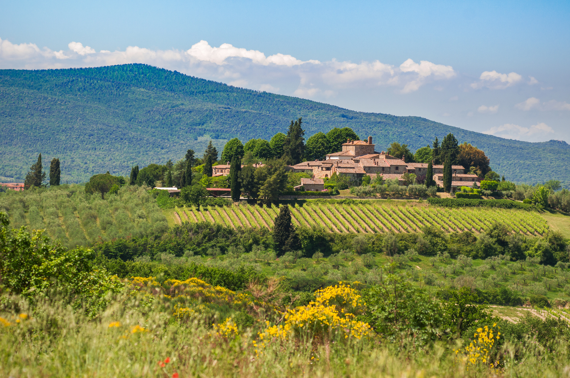 Agritourisme en Toscane